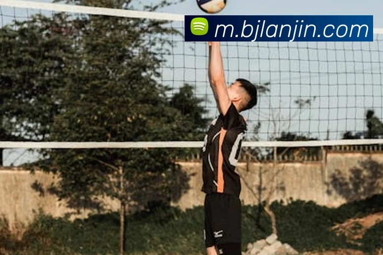 百家乐网站服务体系